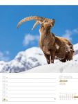 Bild von Faszination Alpenwelt - Wochenplaner Kalender 2026