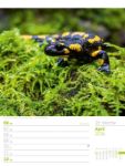 Bild von Faszination Alpenwelt - Wochenplaner Kalender 2026