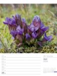 Bild von Faszination Alpenwelt - Wochenplaner Kalender 2026