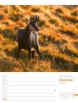 Bild von Faszination Alpenwelt - Wochenplaner Kalender 2026