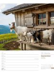 Bild von Faszination Alpenwelt - Wochenplaner Kalender 2026