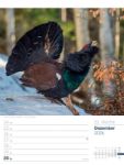 Bild von Faszination Alpenwelt - Wochenplaner Kalender 2026