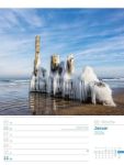 Bild von Am Meer - Wochenplaner Kalender 2026