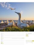 Bild von Am Meer - Wochenplaner Kalender 2026