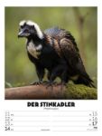 Bild von Verrücktes Tierleben - Wochenplaner mit KI-Bildern Kalender 2026