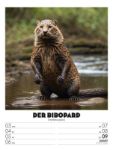 Bild von Verrücktes Tierleben - Wochenplaner mit KI-Bildern Kalender 2026