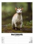 Bild von Verrücktes Tierleben - Wochenplaner mit KI-Bildern Kalender 2026