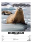 Bild von Verrücktes Tierleben - Wochenplaner mit KI-Bildern Kalender 2026