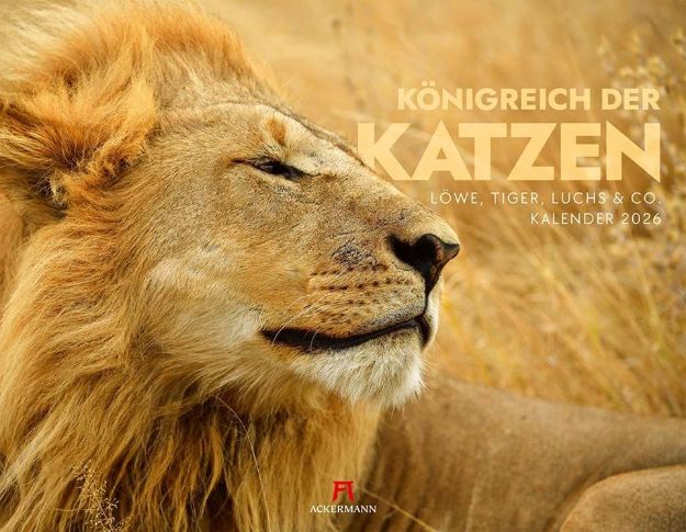 Bild von Königreich der Katzen Kalender 2026