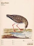 Bild von Wunderbare Vogelwelt - Vintage-Wochenplaner Kalender 2026