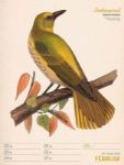 Bild von Wunderbare Vogelwelt - Vintage-Wochenplaner Kalender 2026