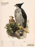 Bild von Wunderbare Vogelwelt - Vintage-Wochenplaner Kalender 2026