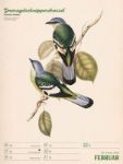 Bild von Wunderbare Vogelwelt - Vintage-Wochenplaner Kalender 2026
