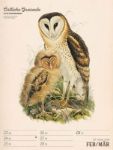 Bild von Wunderbare Vogelwelt - Vintage-Wochenplaner Kalender 2026
