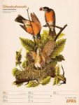 Bild von Wunderbare Vogelwelt - Vintage-Wochenplaner Kalender 2026