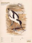 Bild von Wunderbare Vogelwelt - Vintage-Wochenplaner Kalender 2026