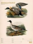 Bild von Wunderbare Vogelwelt - Vintage-Wochenplaner Kalender 2026