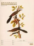 Bild von Wunderbare Vogelwelt - Vintage-Wochenplaner Kalender 2026