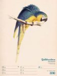 Bild von Wunderbare Vogelwelt - Vintage-Wochenplaner Kalender 2026