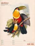 Bild von Wunderbare Vogelwelt - Vintage-Wochenplaner Kalender 2026
