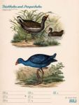 Bild von Wunderbare Vogelwelt - Vintage-Wochenplaner Kalender 2026