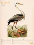 Bild von Wunderbare Vogelwelt - Vintage-Wochenplaner Kalender 2026