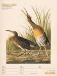 Bild von Wunderbare Vogelwelt - Vintage-Wochenplaner Kalender 2026