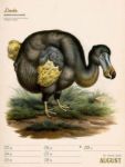 Bild von Wunderbare Vogelwelt - Vintage-Wochenplaner Kalender 2026