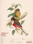 Bild von Wunderbare Vogelwelt - Vintage-Wochenplaner Kalender 2026