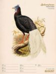 Bild von Wunderbare Vogelwelt - Vintage-Wochenplaner Kalender 2026