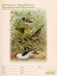 Bild von Wunderbare Vogelwelt - Vintage-Wochenplaner Kalender 2026