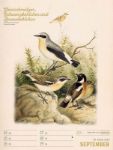 Bild von Wunderbare Vogelwelt - Vintage-Wochenplaner Kalender 2026