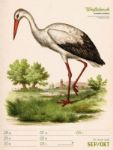 Bild von Wunderbare Vogelwelt - Vintage-Wochenplaner Kalender 2026