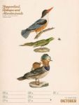 Bild von Wunderbare Vogelwelt - Vintage-Wochenplaner Kalender 2026