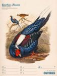 Bild von Wunderbare Vogelwelt - Vintage-Wochenplaner Kalender 2026