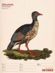 Bild von Wunderbare Vogelwelt - Vintage-Wochenplaner Kalender 2026