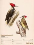 Bild von Wunderbare Vogelwelt - Vintage-Wochenplaner Kalender 2026