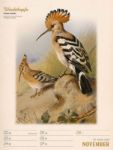 Bild von Wunderbare Vogelwelt - Vintage-Wochenplaner Kalender 2026