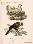 Bild von Wunderbare Vogelwelt - Vintage-Wochenplaner Kalender 2026
