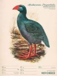 Bild von Wunderbare Vogelwelt - Vintage-Wochenplaner Kalender 2026