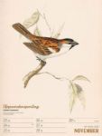 Bild von Wunderbare Vogelwelt - Vintage-Wochenplaner Kalender 2026