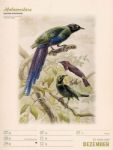 Bild von Wunderbare Vogelwelt - Vintage-Wochenplaner Kalender 2026
