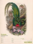 Bild von Wunderbare Vogelwelt - Vintage-Wochenplaner Kalender 2026