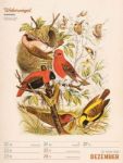 Bild von Wunderbare Vogelwelt - Vintage-Wochenplaner Kalender 2026