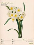 Bild von Ars Floralis - Vintage-Wochenplaner Kalender 2026