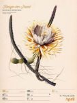 Bild von Ars Floralis - Vintage-Wochenplaner Kalender 2026