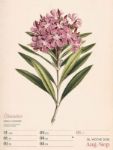 Bild von Ars Floralis - Vintage-Wochenplaner Kalender 2026