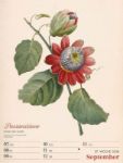 Bild von Ars Floralis - Vintage-Wochenplaner Kalender 2026