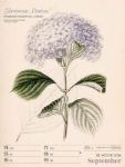 Bild von Ars Floralis - Vintage-Wochenplaner Kalender 2026