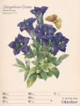 Bild von Ars Floralis - Vintage-Wochenplaner Kalender 2026
